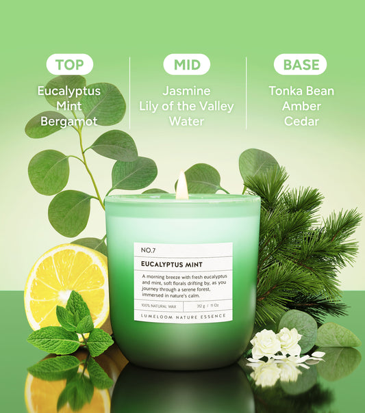 Eucalyptus & Mint Scented Candle