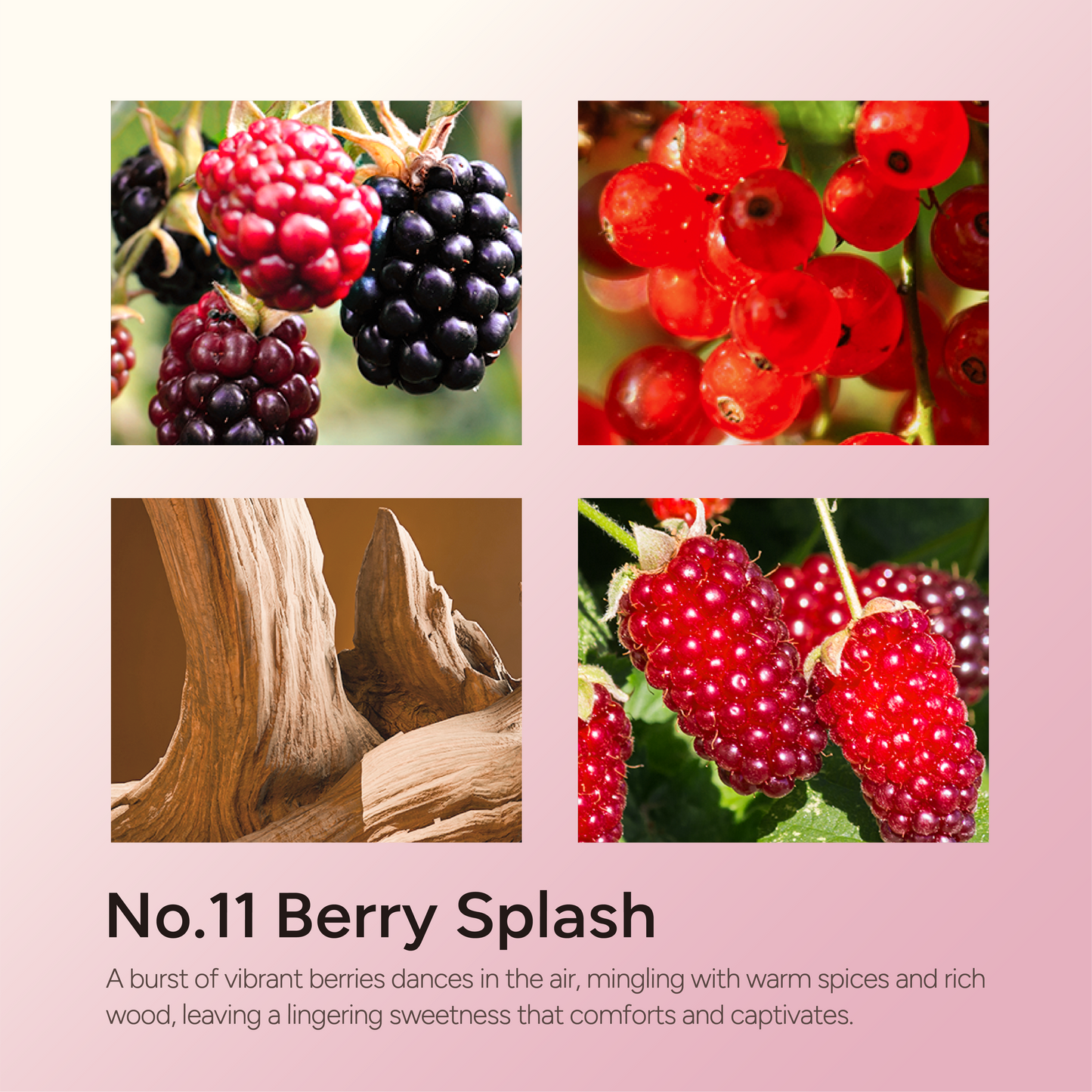 Berry Splash Scented Candles for Home