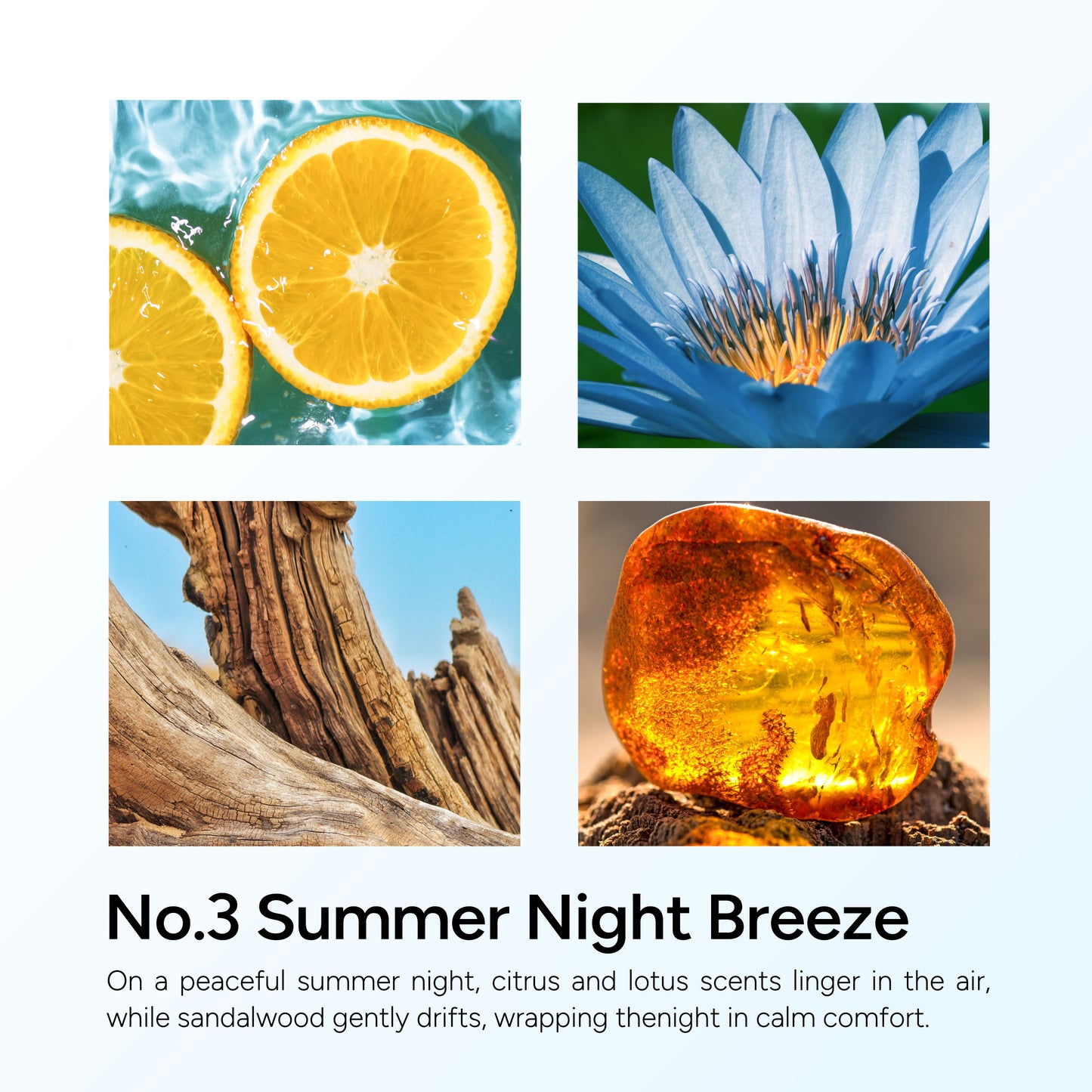 Summer Night Breeze Scented Candle