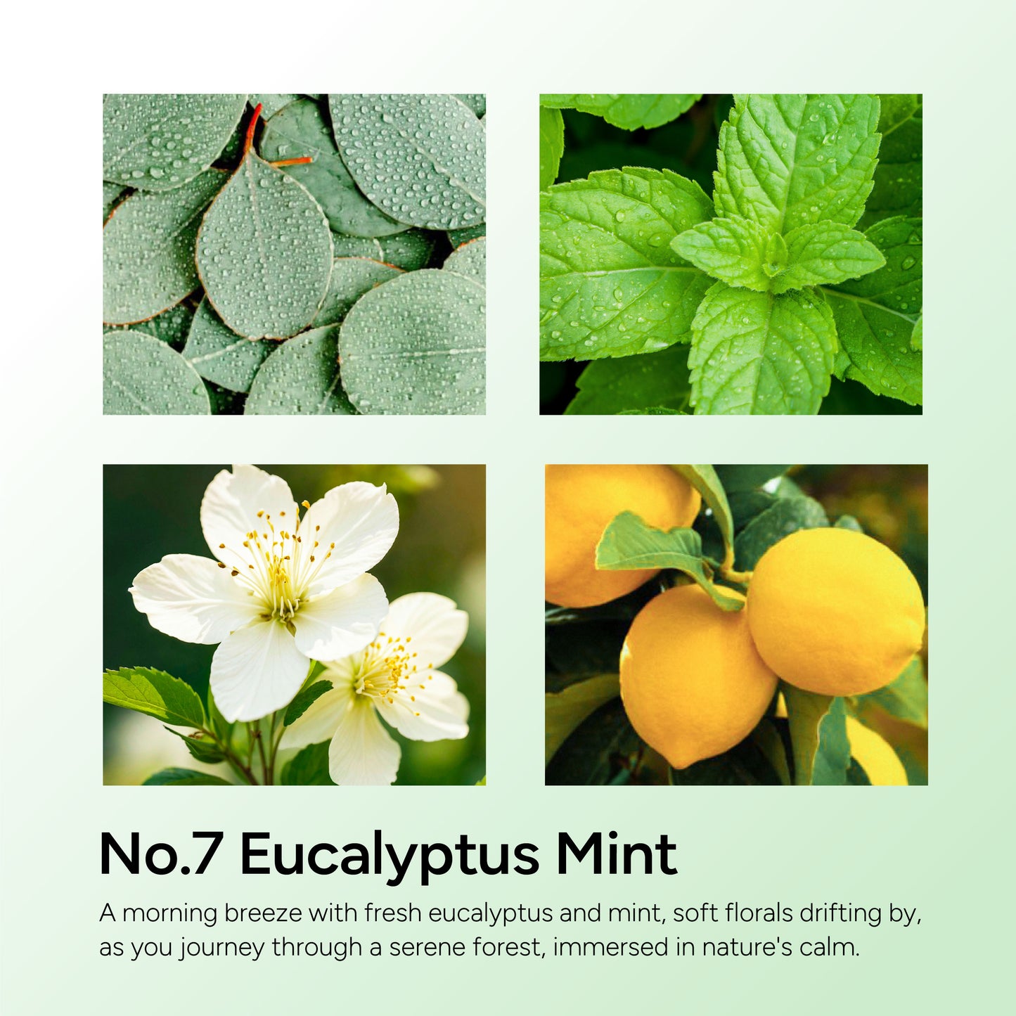 Eucalyptus & Mint Scented Candle