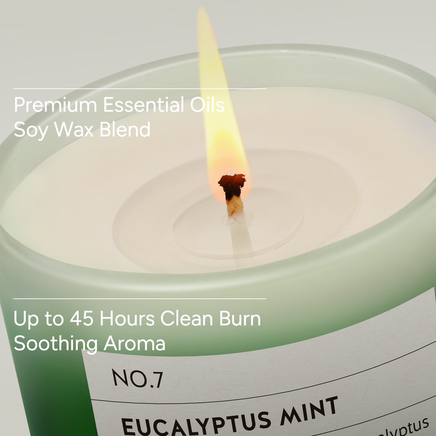Eucalyptus & Mint Scented Candle